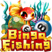 Bingo Fishing on jili58 app